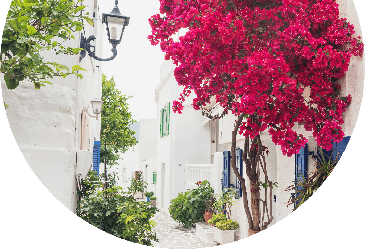 what to do in paros
